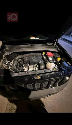 جيب رينيجيد